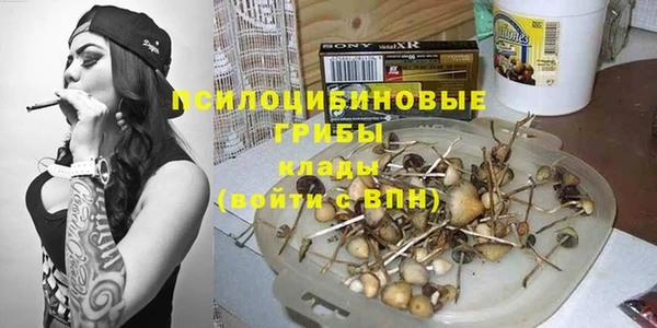молекула духа Алзамай