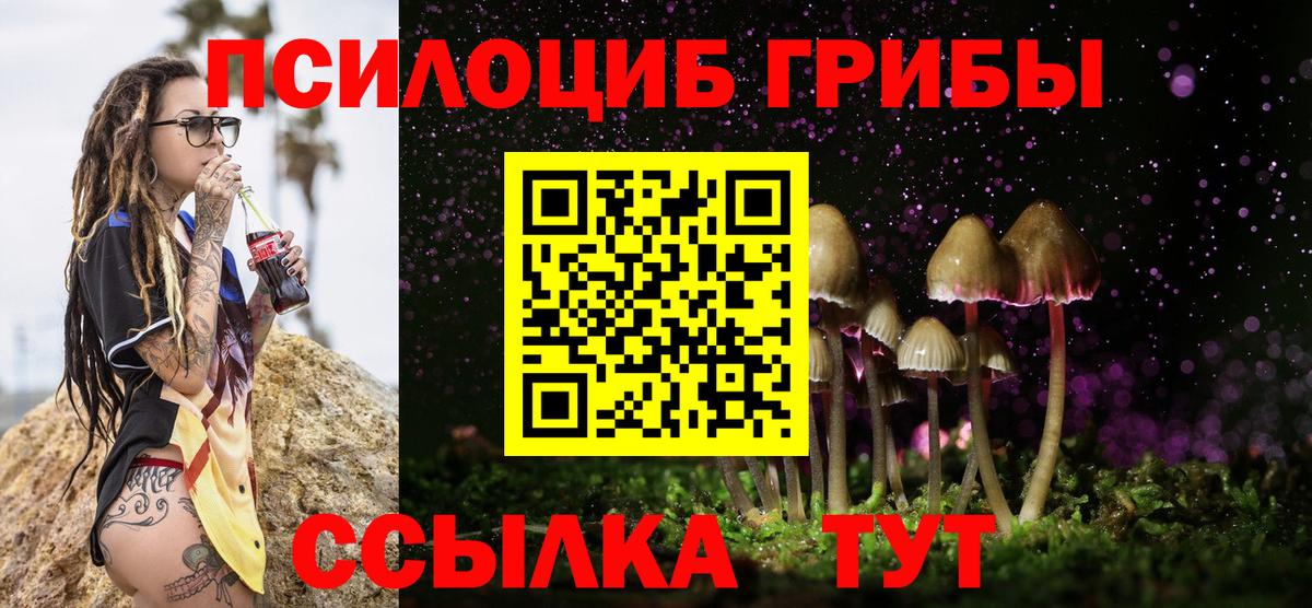 Галлюциногенные грибы Cubensis  Псилоцибиновые грибы прущие грибы  Карачаевск  Вход с VPN 