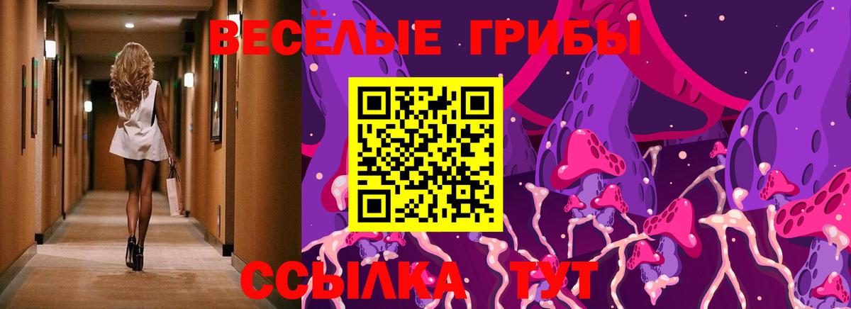 Галлюциногенные грибы мухоморы Карачаевск