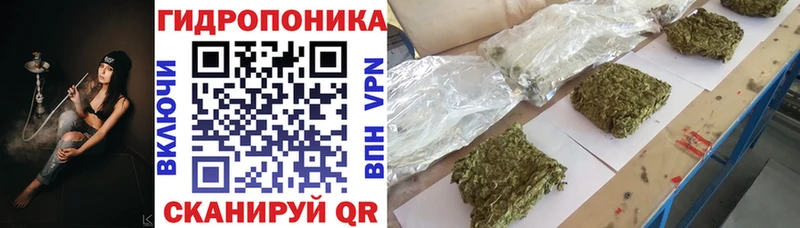 Канабис гибрид  маркетплейс как зайти  Карачаевск 