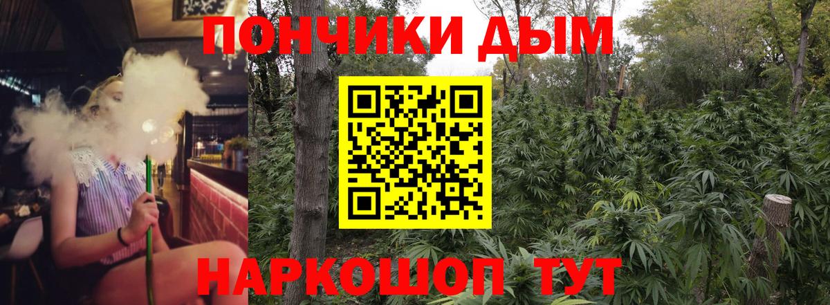 Бошки марихуана план  Бошки марихуана план  Каннабис план  МАРИХУАНА ГИДРОПОН  Вход с VPN  Карачаевск 